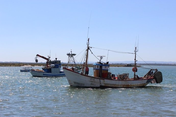Archivo - Pesca de arrastre. 