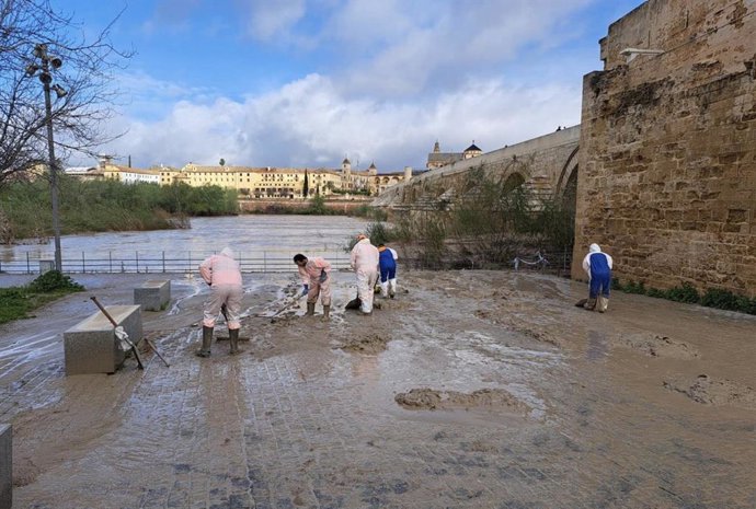 Limpieza en la zona de la Calahorra tras la crecida del río Guadalquivir por las lluvias y desembalses.