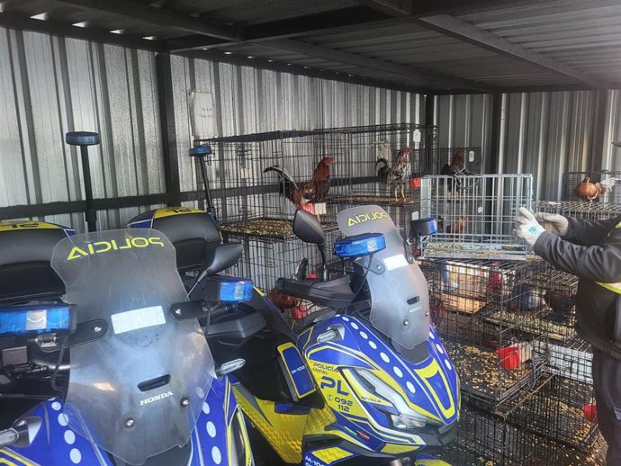 Jaulas con los gallos de pelea incautados por los agentes de la Policía Local y trasladados a la comisaría del Distrito Sur.