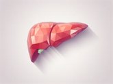 Foto: Niveles elevados de la proteína GDF15 podrían relacionarse con lesión hepática y aterosclerosis