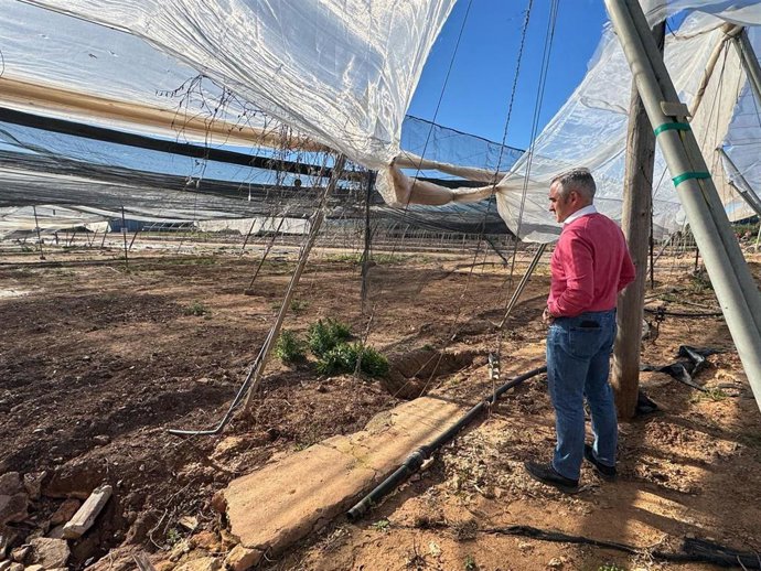 Barrachina destaca la inversión de la Generalitat de 5,3 millones para recuperar viveros y cultivos hortícolas tras dana