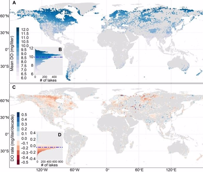 Variações espaço-temporais nas concentrações de OD para lagos globais com áreas de superfície ≥ 10 km2.