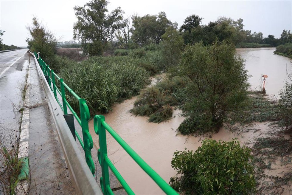 Archivo - Inmediaciones de la carretera A-394 en Arahal anegadas por la lluvia en una imagen de archivo