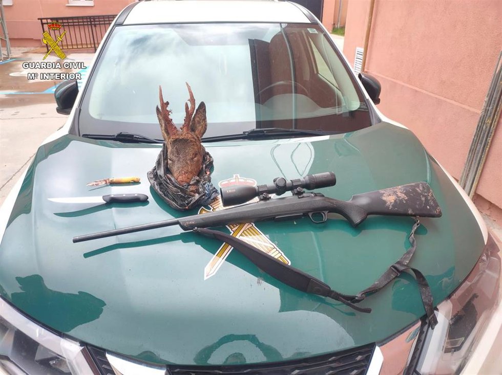 Presa incautada por la Guardia Civil en el operativo.
