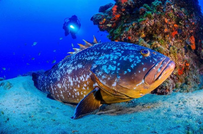 Activa Canarias pide soluciones para garantizar el turismo activo en Lanzarote