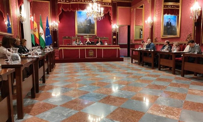 Comisión extraordinaria de Protección Ciudadana