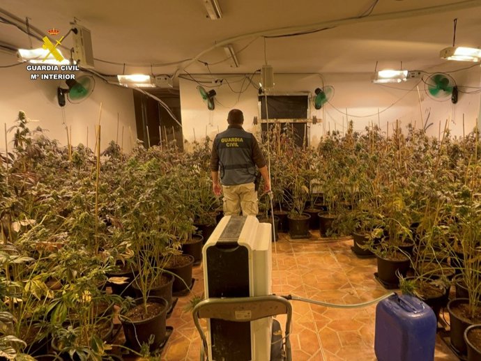 Droga intervenida por la Guardia Civil