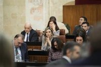 PSOE-A defiende que Montero está "siempre a disposición" de un acuerdo para que haya PGE pero "no sólo depende" de ella