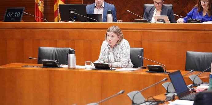 La directora general de Inclusión Social y Voluntariado, María Charte, ha comparecido este martes en las Cortes de Aragón.