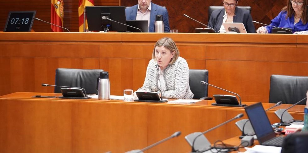 La directora general de Inclusión Social y Voluntariado, María Charte, ha comparecido este martes en las Cortes de Aragón.