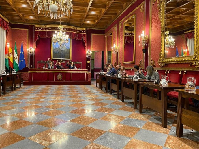 Comisión de Protección Ciudadana y Política Social del Ayuntamiento de Granada