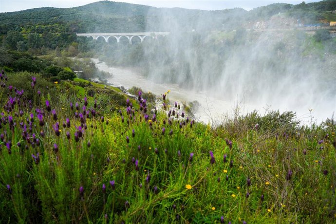 Imágenes del embalse de Los Melonares. A 12 de marzo de 2025 en Castilblanco de los Arroyos, Sevilla (Andalucía, España).