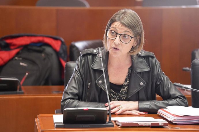 La diputada del PSOE Pilimar Zamora, en la Comisión de Bienestar Social de las Cortes de Aragón.