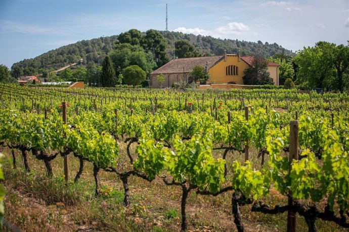 La finca Mas La Plana a Pacs del Penedès (Barcelona)