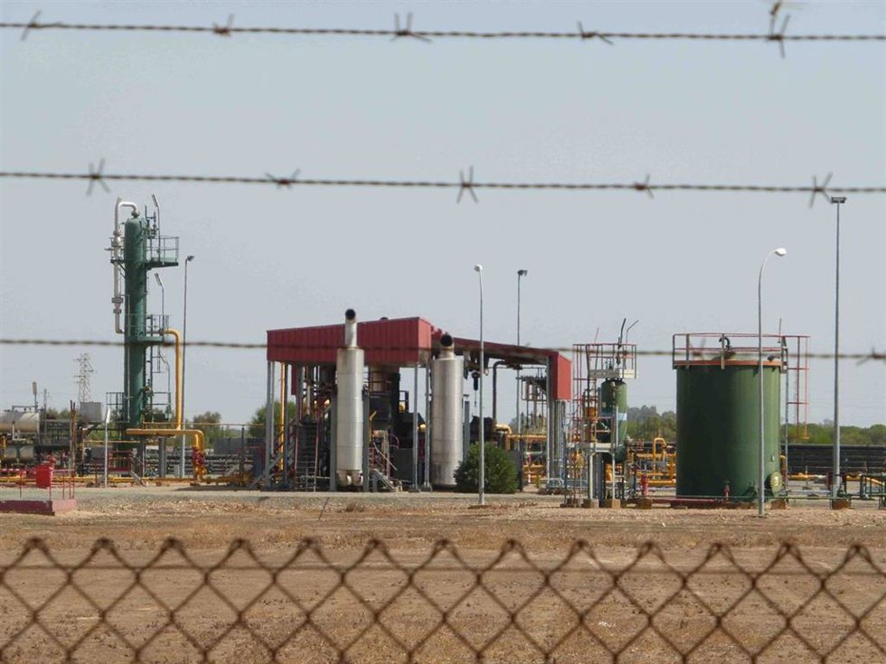 La Plataforma Salvemos Doñana presentará alegaciones al proyecto de gas natural en el parque.