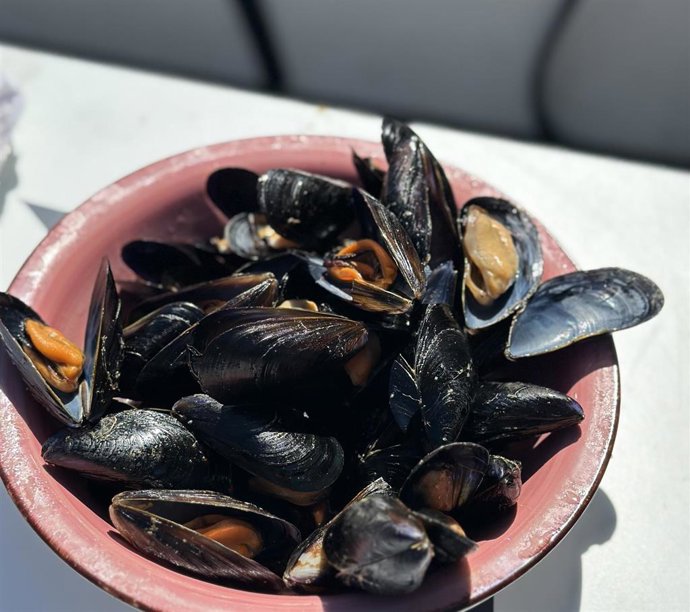 Clóchina de Valencia