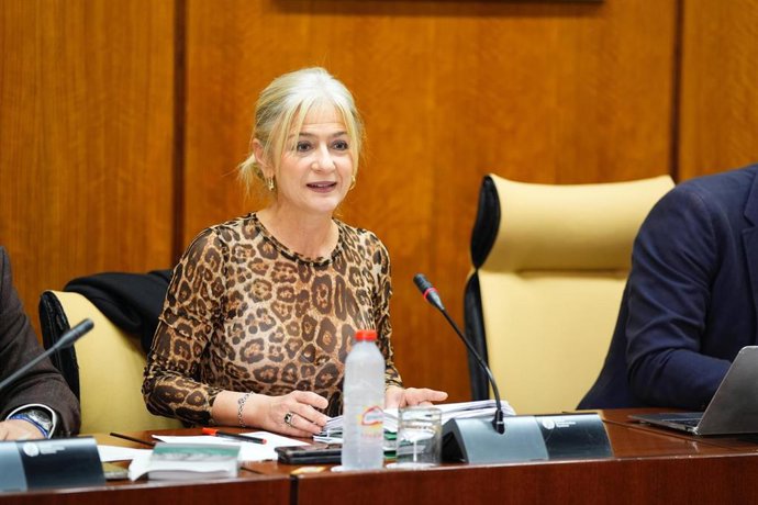 Más de 2.600 víctimas del franquismo exhumadas desde 2019: "A contrarreloj para dar el mayor consuelo a las familias"