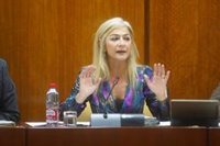 Del Pozo indica que la Alhambra de Granada "no estaba exenta" del "abuso" de contratación temporal que hubo en la Junta