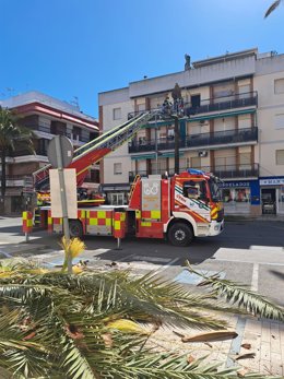 Corte de palmeras dañadas por el temporal en Punta Umbría (Huelva).