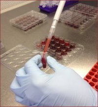 La Estación Experimental del Zaidín prepara en Granada la jornada 'Doctorado 360°. Más allá de la tesis doctoral'