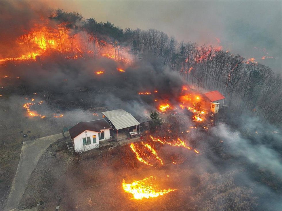 Casas arden en una aldea de Uiseong tras ser consumidas por un incendio forestal   