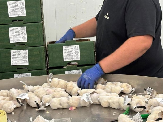 Estas ayudas se enmarcan en el Plan Estratégico de la PAC para el período 2023-2027.