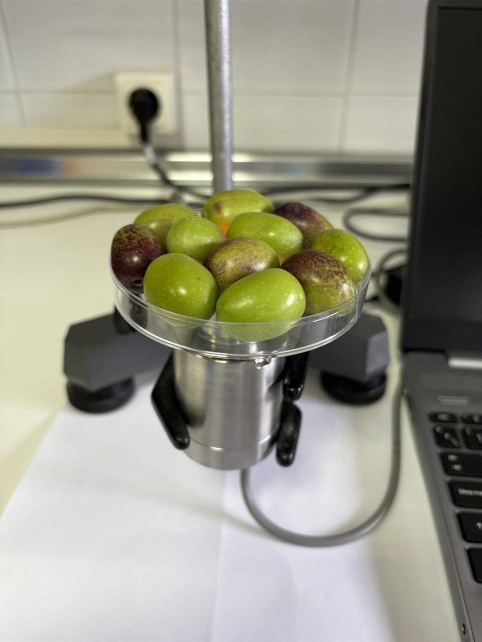Aceitunas