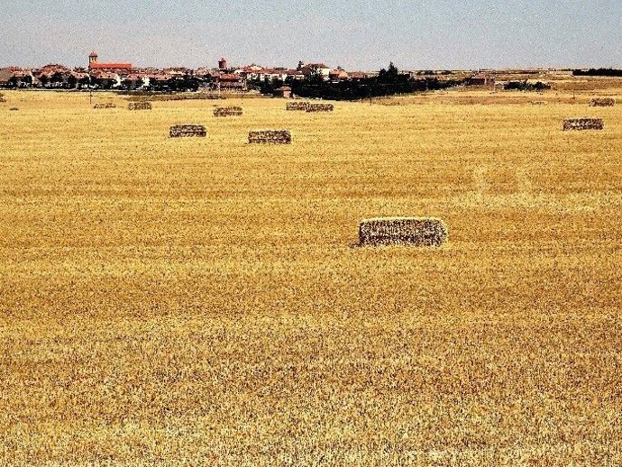 Campos de Castilla