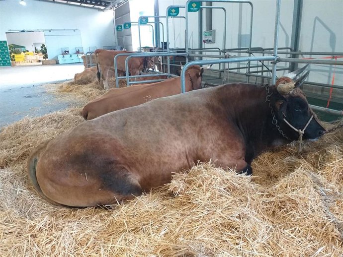 Archivo - Agropec' 23.