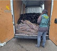 Cinco detenidos por robar 7,2 toneladas de cable de cobre en Valladolid y León