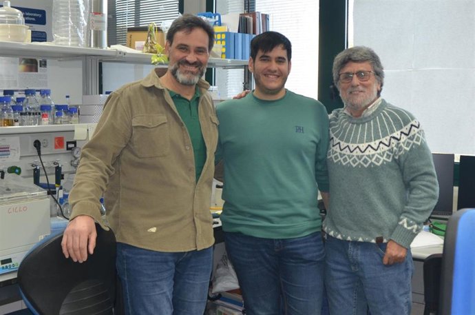 Investigadores del CABD descubren un nuevo mecanismo celular como posible terapéutico en enfermedades neurodegenerativas.