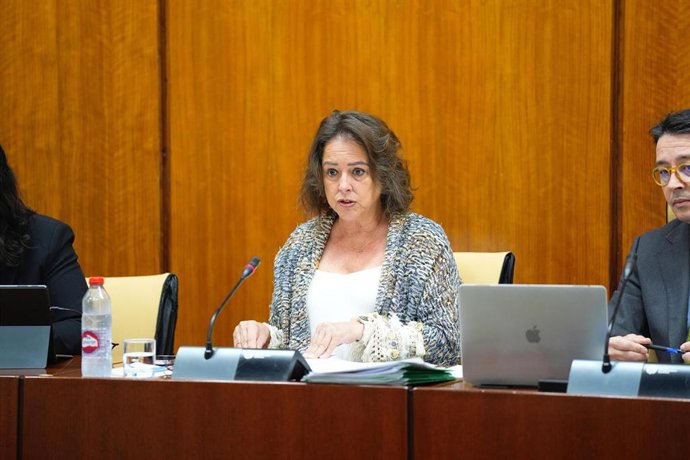 La consejera de Sostenibilidad y Medio Ambiente, Catalina García, en comisión parlamentaria a fecha de 26 de marzo de 2025.