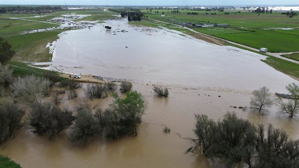 Situación actual del arroyo de El Partido, en Doñana (Huelva).