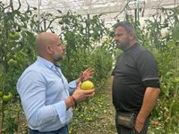 Vox reclama a la Junta las ayudas comprometidas con los agricultores por las danas: "Continúan esperando"