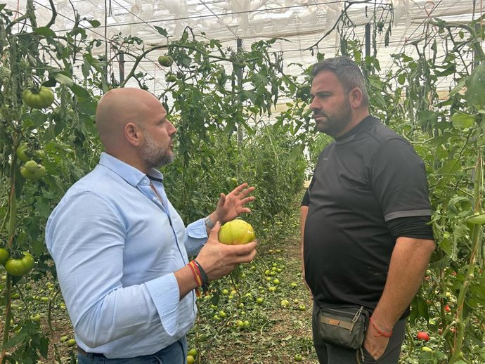 El portavoz adjunto de Vox en el Parlamento de Andalucía, Rodrigo Alonso, visita un invernadero de El Ejido (Almería) afectado por la DANA del 28 de octubre de 2024.