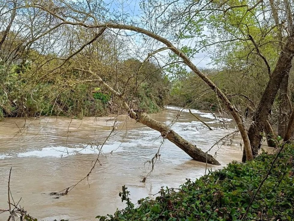 El río Guadaíra a su paso por Alcalá