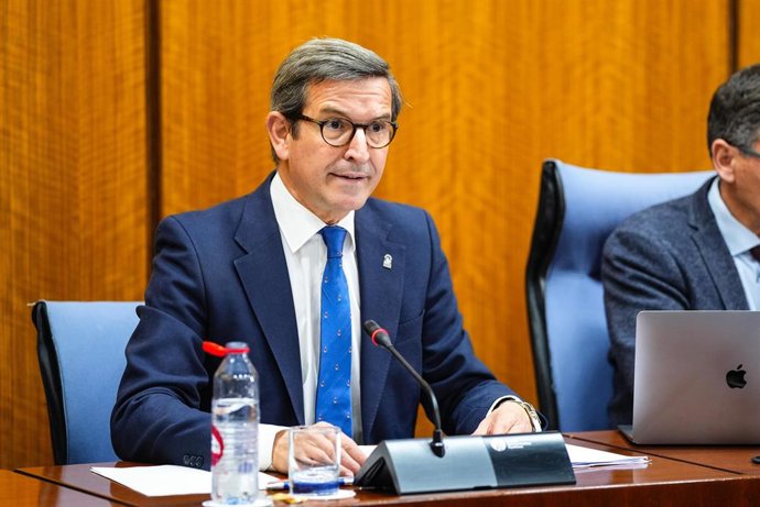 El consejero de Industria de la Junta de Andalucía, Jorge Paradela, en la comisión parlamentaria del 26 de marzo de 2025.