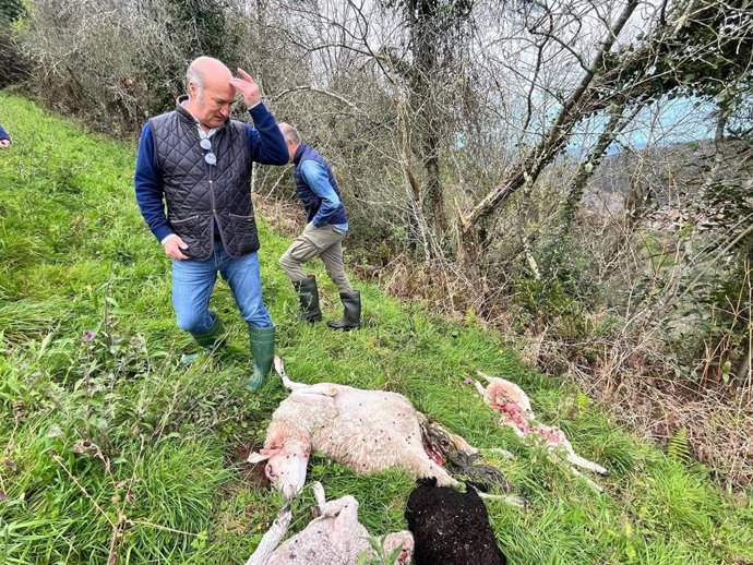 El diputado regional del PP, Luis Venta, en Villaviciosa.