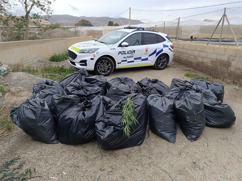 Marihuana intervenida en un solar de Los Molinos, en Almería.
