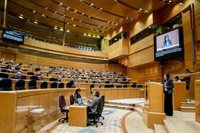 El Senado apremia al Gobierno a que las decisiones sobre defensa pasen por el Parlamento