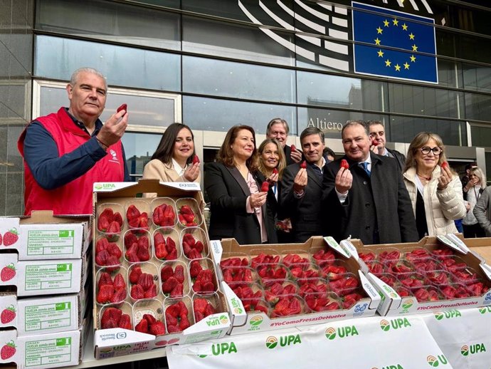 Europarlamentarios se unen al presidente de la Diputación, David Toscano, y a miembros de la Unión de Pequeños Agricultores (UPA) en el apoyo a la camapaña 'Yo como fresas de Huelva', que este miércoles ha llegado a Bruselas.