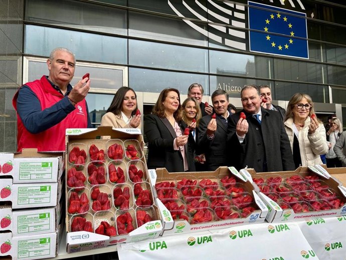 Europarlamentarios se unen al presidente de la Diputación, David Toscano, y a miembros de la Unión de Pequeños Agricultores (UPA) en el apoyo a la camapaña 'Yo como fresas de Huelva', que este miércoles ha llegado a Bruselas.