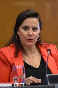 El BNG envía una carta a la Comisión Europea contra la selección de la mina de Doade para "satisfacer intereses bélicos"