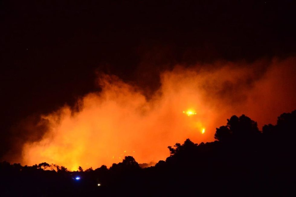 Un incendio forestal en Andratx.