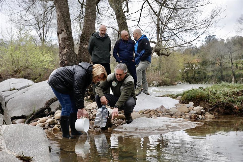 La consejera de Pesca, María Jesús Susinos, en la suelta de alevines de trucha en el río Pas