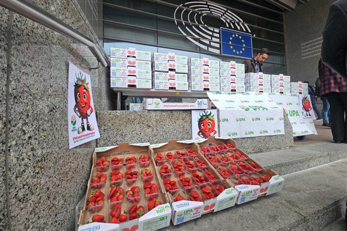 Fresas de Huelva repartidas este miércoles en Bruselas.