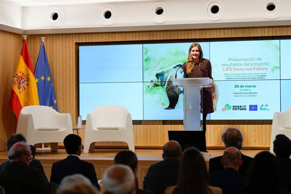 Aagesen dice que los ejemplares de oso pardo "han pasado de menos de 70 a más de 400 en menos de tres décadas".