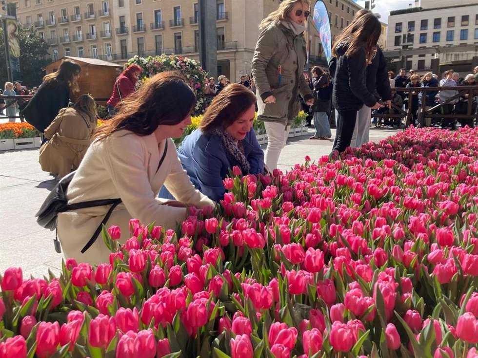 El mercado solidario de tulipanes en Zaragoza