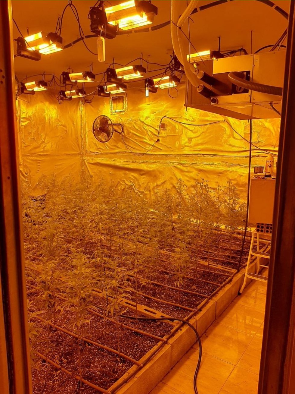 Plantación de marihuana desmantelada en Piera (Barcelona)