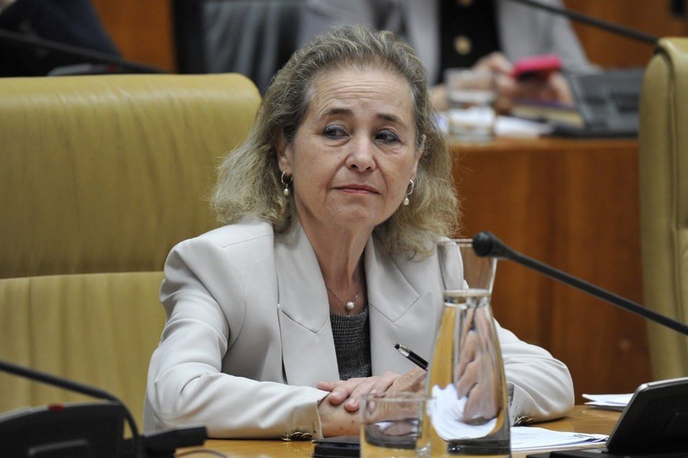 La consejera de Educación, María Mercedes Vaquera, en el pleno de la Asamblea